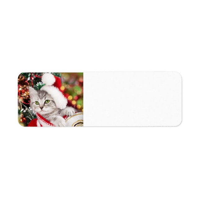 Joyeux Noël Kitten (Devant)