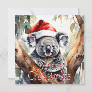 Joyeux Noël Koala assis sur la carte Gumtree