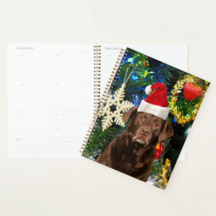 Joyeux Noël Labrador Retriever Chien Santa Hat