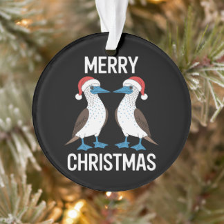 Joyeux Noël Oiseau Sula aux Pieds Bleus Chapeau de