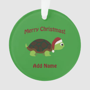 Joyeux Noël ! Père Noël Turtle