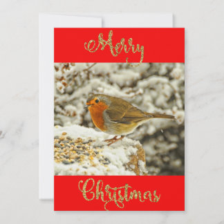 Joyeux Noël Robin en Carte photo de neige