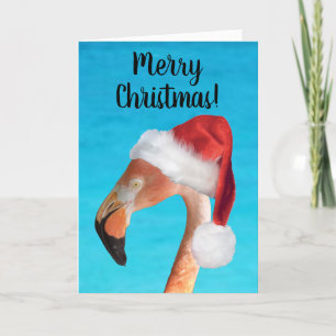 Joyeux Noël rose Flamant rose carte de Noël