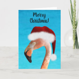 Joyeux Noël rose Flamant rose carte de Noël