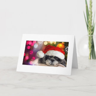 Joyeux Noël Shih Tzu Carte de voeux
