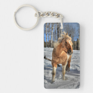 Joyeux Palomino Pinto Horse et neige