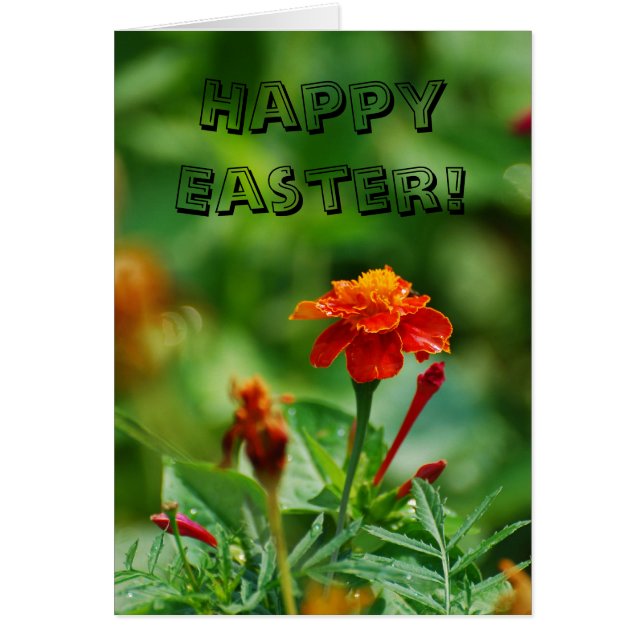 Joyeux Pâques ! (Devant)