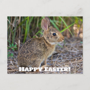 Joyeux Pâques ! Carte postale
