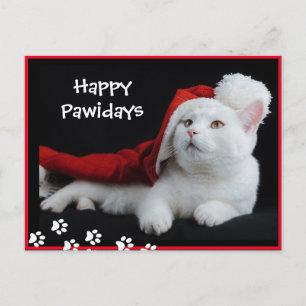 Joyeux Pawidays, Chat, Carte postale Art