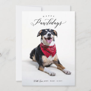Joyeux Pawlidays Script Pet Carte photo de Noël