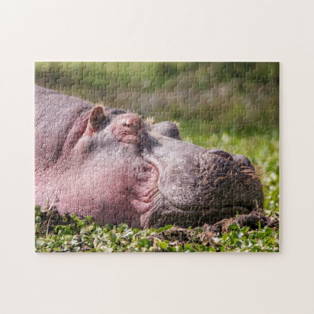 Joyeux puzzle hippo (Horizontal)