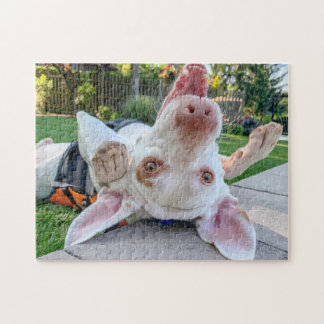 Joyeux Puzzle Pointeur