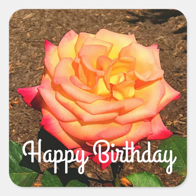 Joyeux Rêve d'anniversaire Venez Véritable Sticker (Devant)