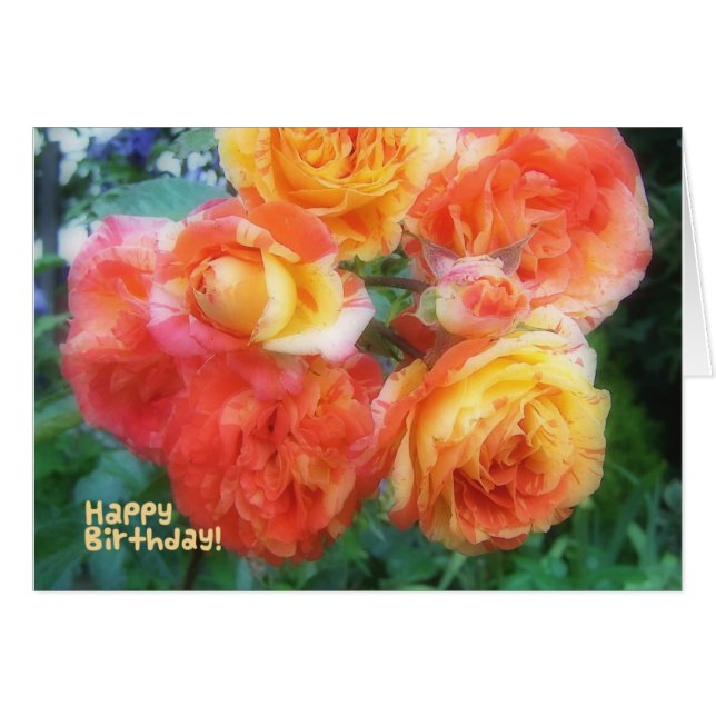 Joyeux Roses d'anniversaire (Devant horizontal)