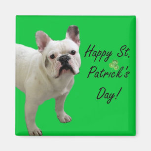 Joyeux Saint Patrick's Day French Bulldog aimant