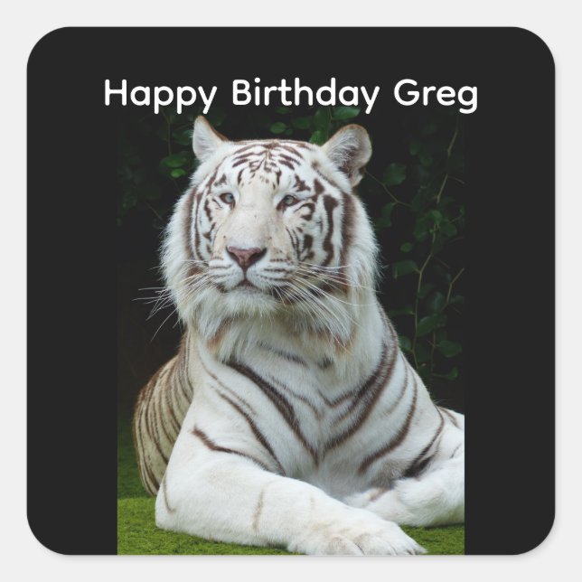 Joyeux Sticker Carré de tigre blanc anniversaire (Devant)
