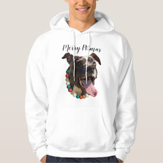 Joyeux Sweat - shirt à capuche de Pitmas
