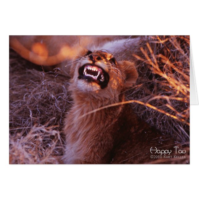 Joyeux Tau, Lion Cub souriant (Devant Horizontal)