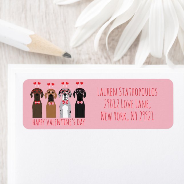 Joyeux Valentines Day Chiens de Danse (En situation)