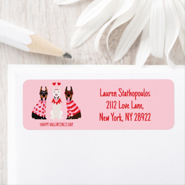 Joyeux Valentines Day Chiens Dobermann (En situation)