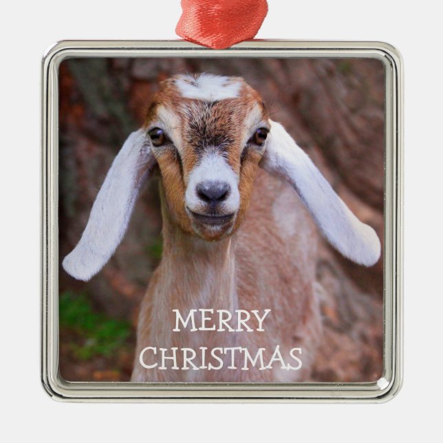 Joyful Baby Goat Christmas Metal Ornament (Front)