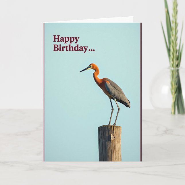 Joyful Birthday Avian Grace Card (Front)