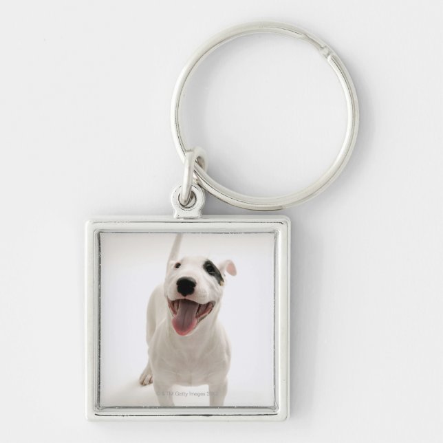 Joyful Bull terrier Keychain (Front)