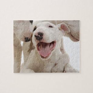 Joyful Bull terriers Jigsaw Puzzle