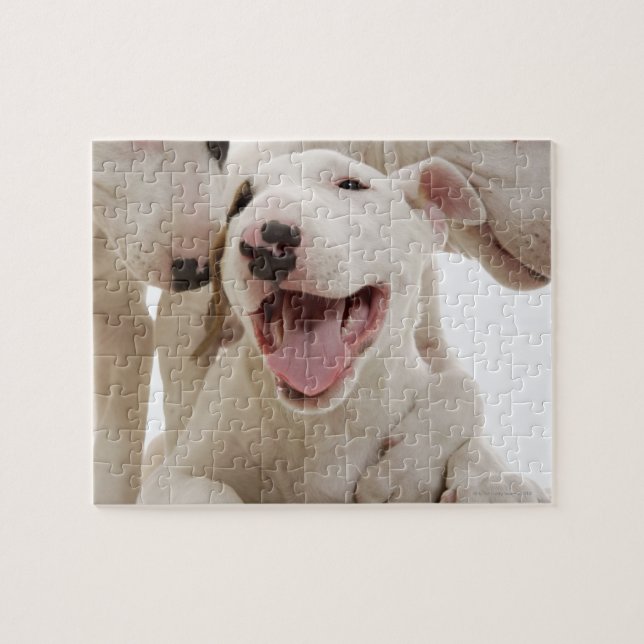 Joyful Bull terriers Jigsaw Puzzle (Horizontal)
