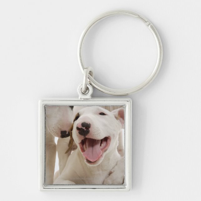 Joyful Bull terriers Keychain (Front)