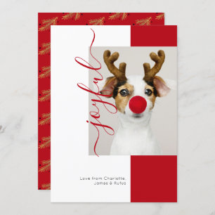Joyful Modern Holiday Photo Card