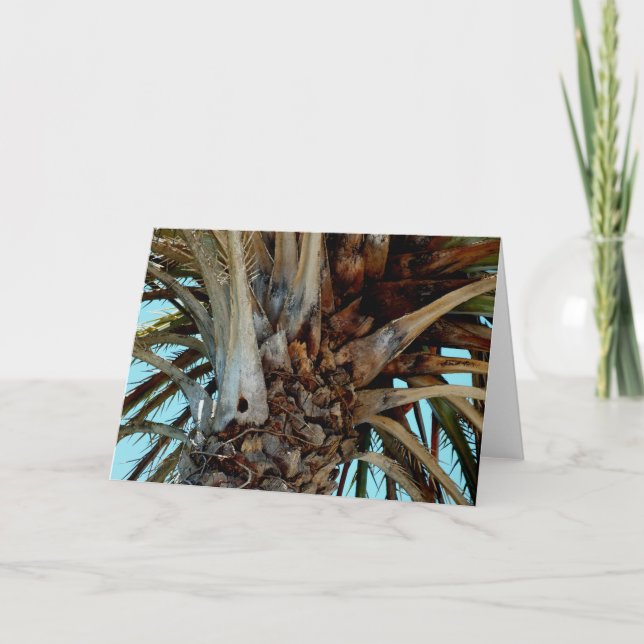 "Joyful Palm" Close up, top of tree with blue sky Card (Front)