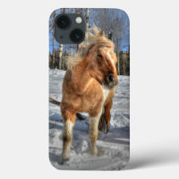 Joyful Palomino Pinto Horse and Snow