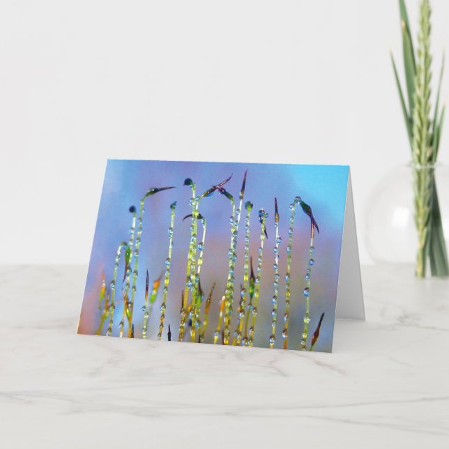 Joyful, Serene, Stories in Nature Dew Drop Card (Front)