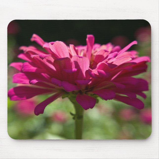 Joyful Zinnia Mouse Pad (Front)