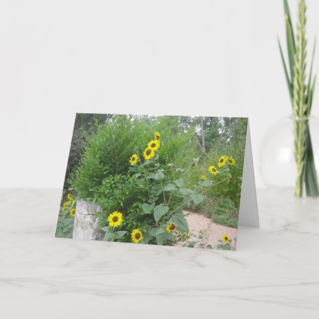 Joyous Day Congratulations Card (Front)