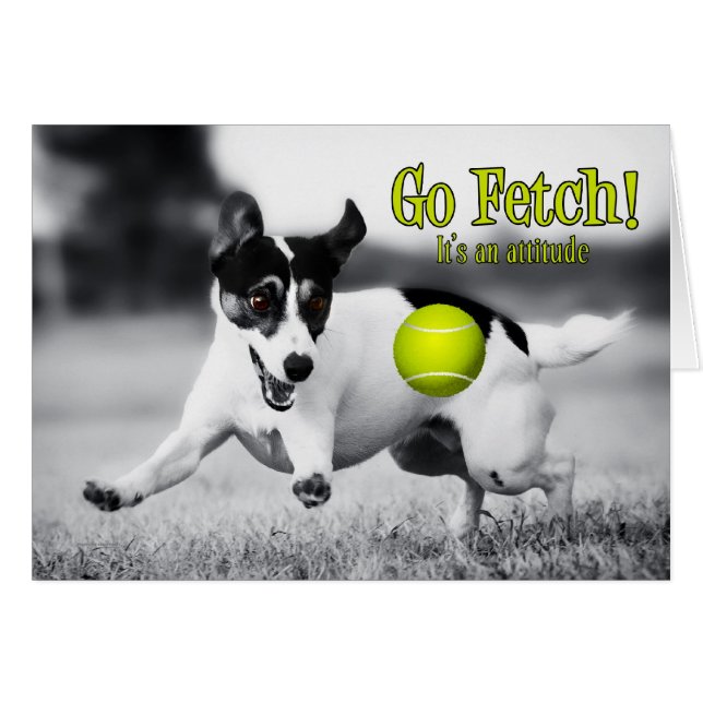 JRT Cute and Funny Go Fetch Themed Blank (Front Horizontal)