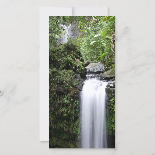 Juan Diego Falls (Front)