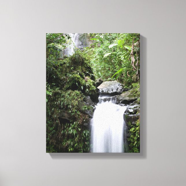 Juan Diego Falls Canvas Print (Front)