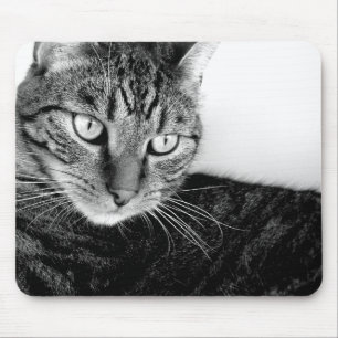 Jude Mouse Pad