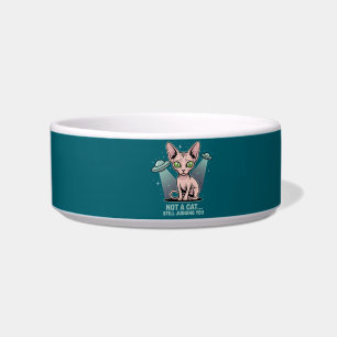 Judging Sphynx Cat UFO Alien Humor Art Bowl