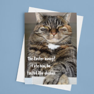 Judgmental Cat Ate Easter Bunny Humour Funny Holiday Card