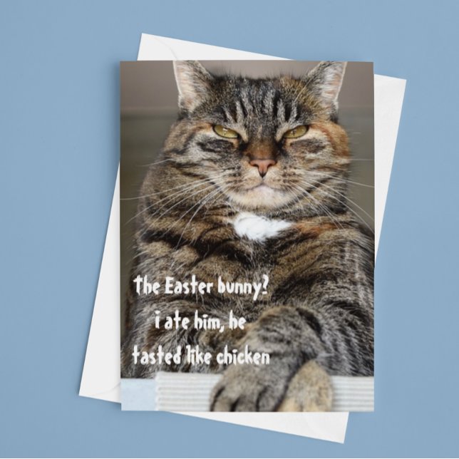 Judgmental Cat Ate Easter Bunny Humour Funny Holiday Card (Creator Uploaded)