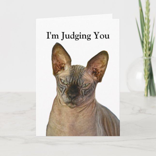Judgmental Sphinx Cat Happy Birthday Thank You Card (Front)