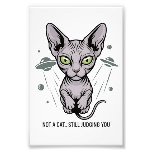 Judgmental Sphynx Cat in Space Art Photo Print