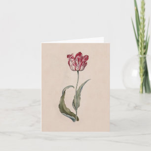 Judith Leyster Tulip Note Card