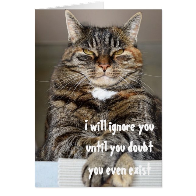 Jugement Angry Cat Doute Vous Existe Humour Drôle (Devant)