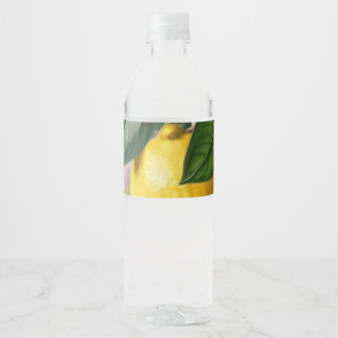 Juicy lemons water bottle label