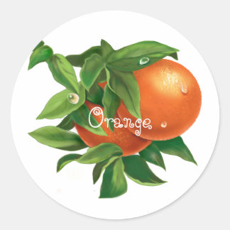 Juicy orange orange with water drops classic round sticker