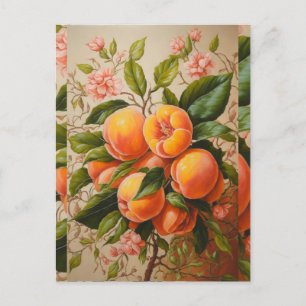 Juicy peaches postcard